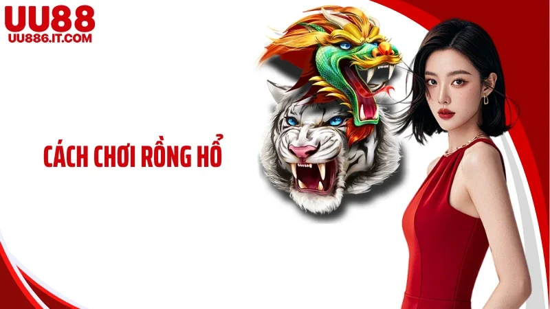 Cách Chơi Rồng Hổ - Nắm Luật Nhanh, Vào Bàn Không Bối Rối