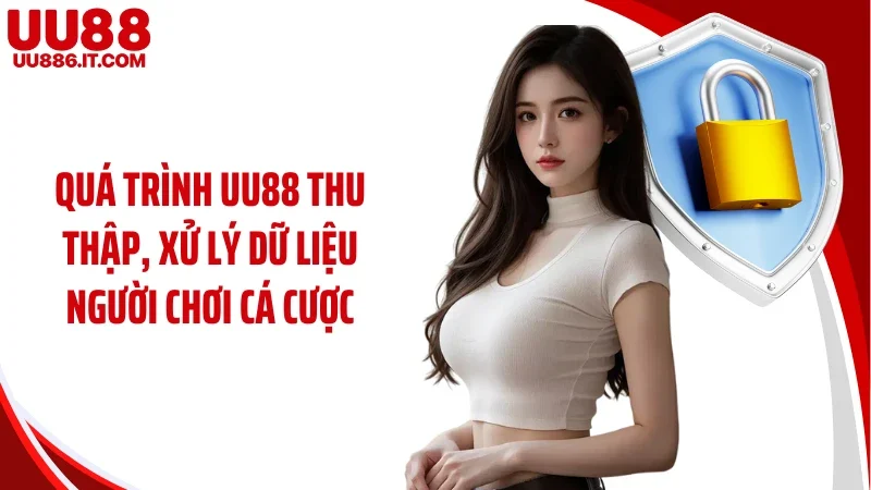Quá trình UU88 thu thập, xử lý dữ liệu người chơi cá cược