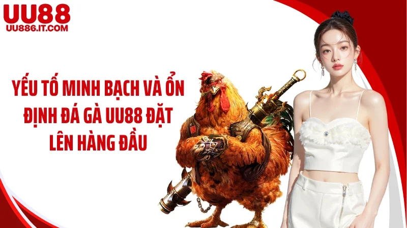 Yếu tố minh bạch và ổn định đá gà UU88 đặt lên hàng đầu
